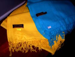 pashmina shawl